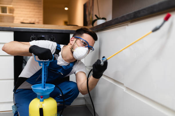 Trusted Cumberland, WI Pest Control Experts