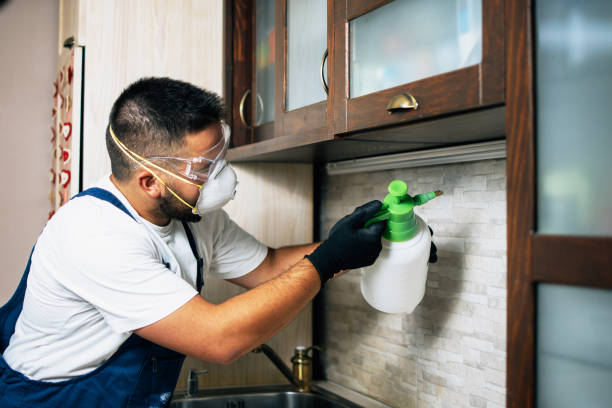 Reliable Cumberland, WI Pest Control Solutions
