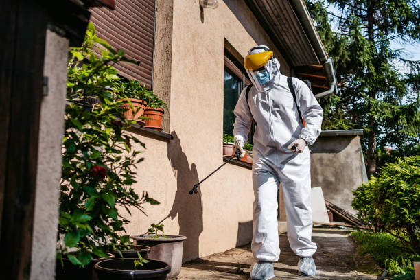Best Wasp Removal Services  in Cumberland, WI