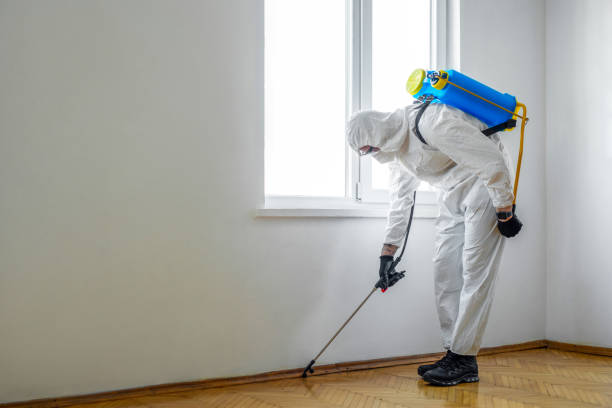 Best Pest Control Near Me  in Cumberland, WI