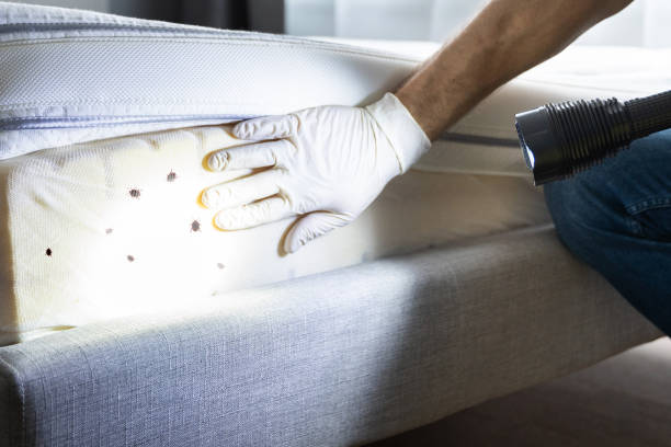 Best Exterminator Services  in Cumberland, WI