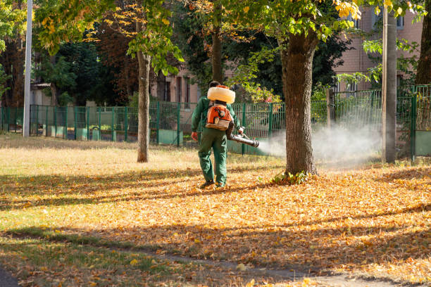 Best Residential Pest Control  in Cumberland, WI