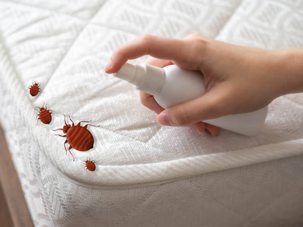 Best Emergency Pest Control  in Cumberland, WI
