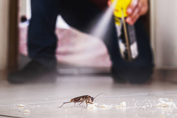 Best Emergency Pest Control  in Cumberland, WI