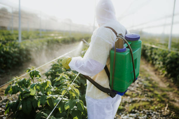 Best Pest Removal Services  in Cumberland, WI